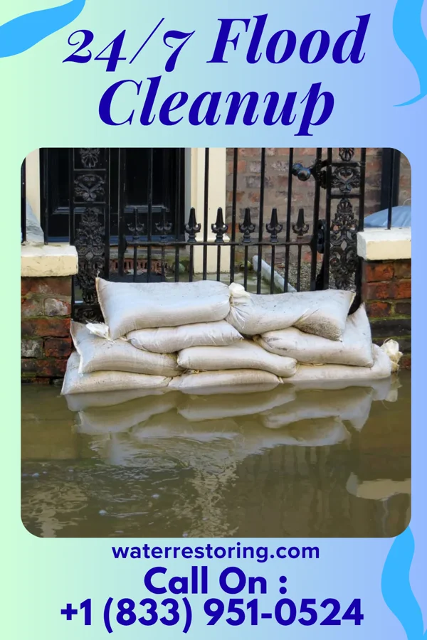 24/7 Flood Cleanup in Davy, WV