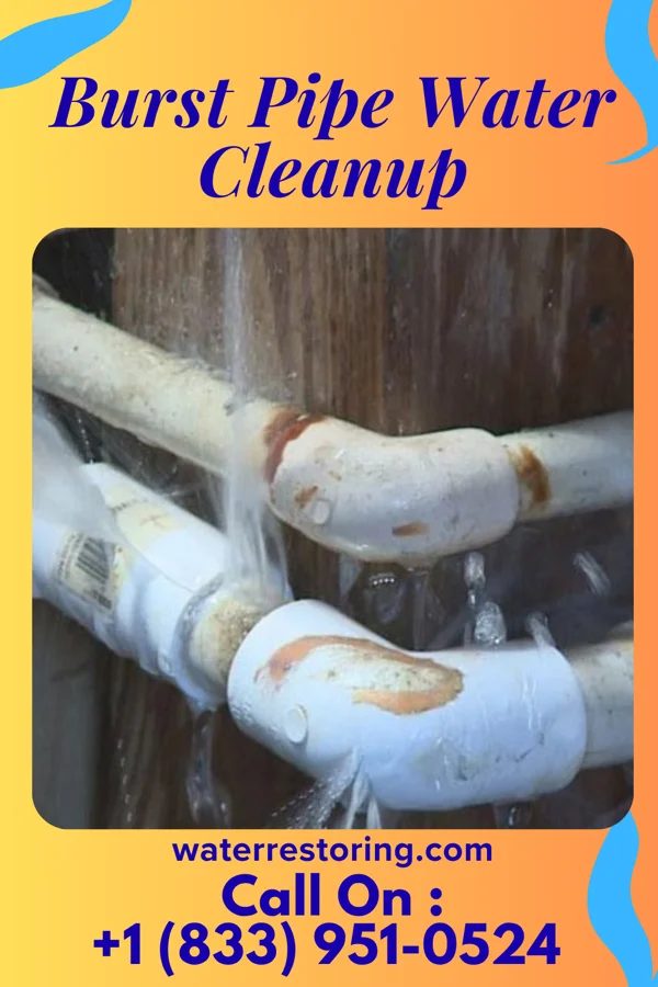 Burst Pipe Water Cleanup in Davy, WV