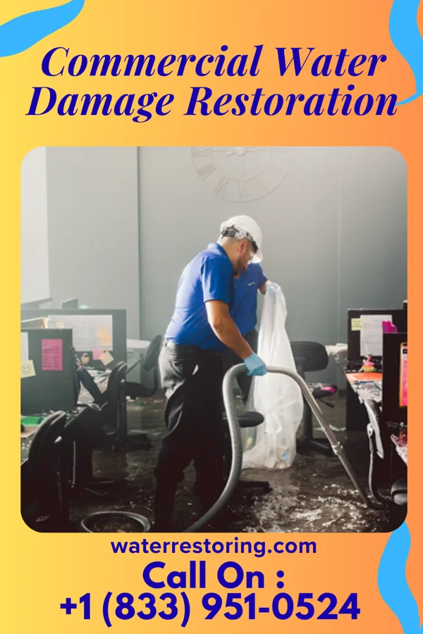 Commercial Water Damage Restoration in Davy, WV
