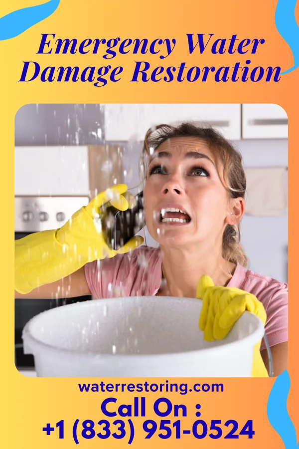 Emergency Water Damage Restoration in Davy, WV