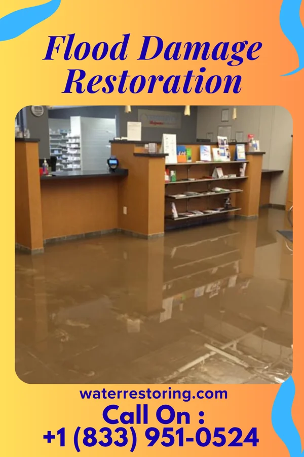 Flood Damage Restoration in Davy, WV