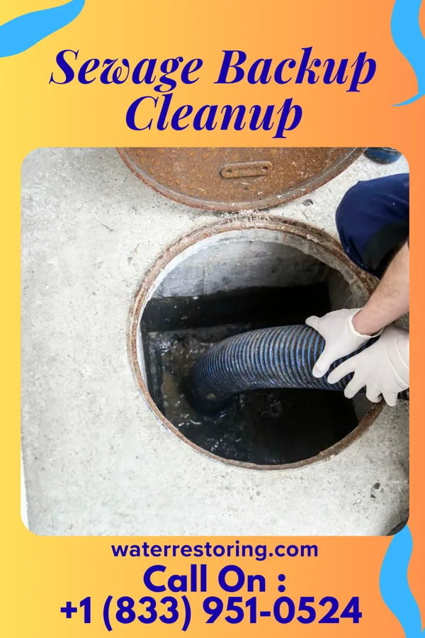 Sewage Backup Cleanup in Davy, WV