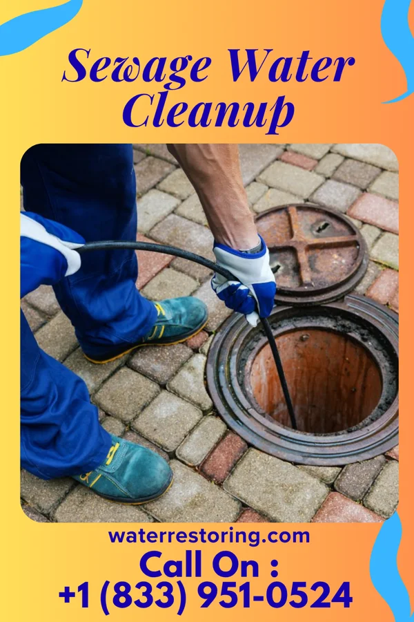 Sewage Water Cleanup in Davy, WV
