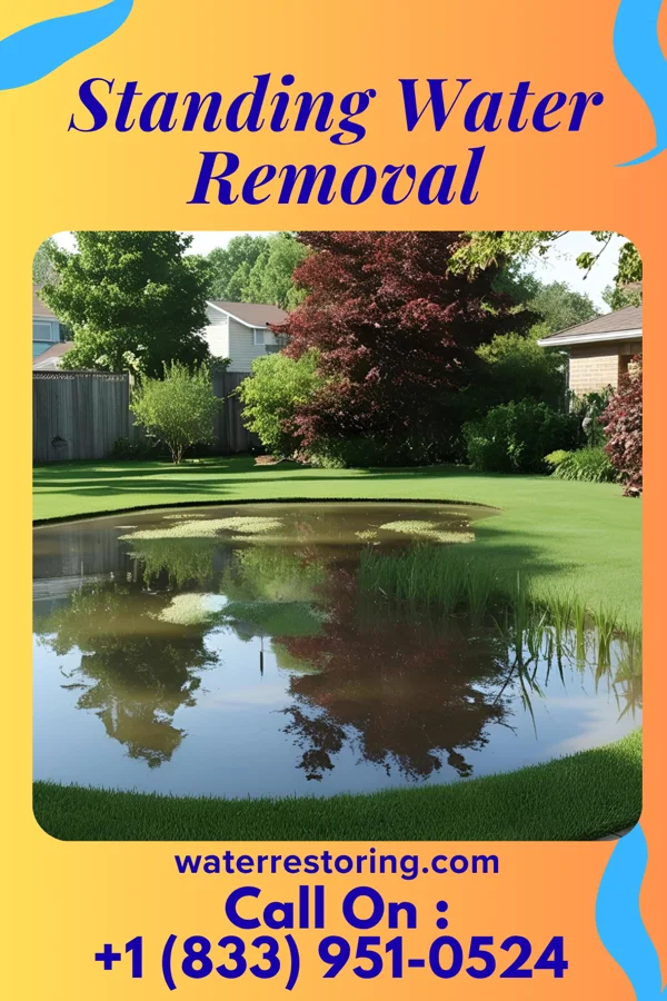 Standing Water Removal in Davy, WV